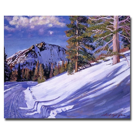 Trademark Fine Art David Lloyd Glover 'Snow Mountain Road' Canvas Art, 26x32 DLG0064-C2632GG